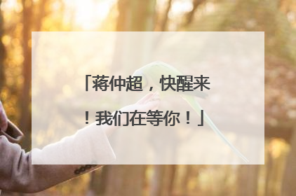 蒋仲超，快醒来！我们在等你！