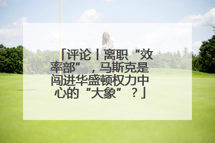 评论丨离职“效率部”，马斯克是闯进华盛顿权力中心的“大象”？