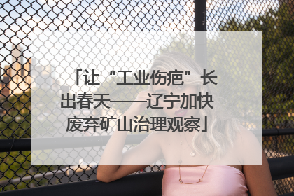 让“工业伤疤”长出春天——辽宁加快废弃矿山治理观察