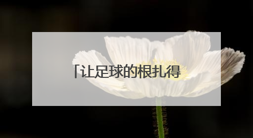 让足球的根扎得更深！“苏超”见证一群普通人发自内心的热爱