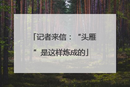 记者来信：“头雁”是这样炼成的