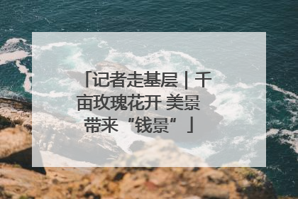 记者走基层｜千亩玫瑰花开 美景带来“钱景”