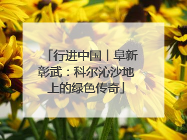 行进中国丨阜新彰武：科尔沁沙地上的绿色传奇