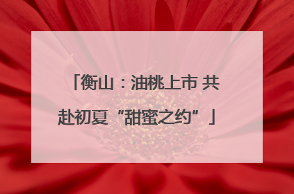 衡山：油桃上市 共赴初夏“甜蜜之约”