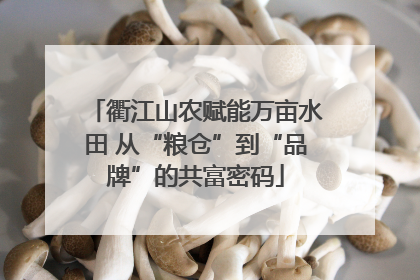 衢江山农赋能万亩水田 从“粮仓”到“品牌”的共富密码