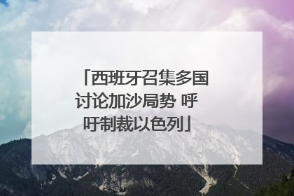 西班牙召集多国讨论加沙局势 呼吁制裁以色列