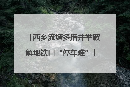 西乡流塘多措并举破解地铁口“停车难”