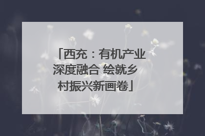 西充：有机产业深度融合 绘就乡村振兴新画卷