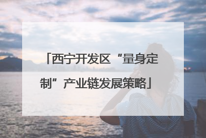 西宁开发区“量身定制”产业链发展策略