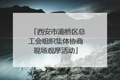 西安市灞桥区总工会组织集体协商现场观摩活动