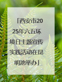 西安市2025年六五环境日主题宣传实践活动在昆明池举办
