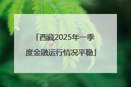 西藏2025年一季度金融运行情况平稳