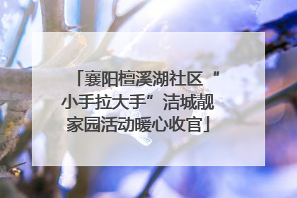 襄阳檀溪湖社区“小手拉大手”洁城靓家园活动暖心收官