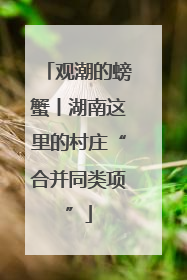 观潮的螃蟹丨湖南这里的村庄“合并同类项”