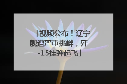 视频公布！辽宁舰遭严重挑衅，歼-15挂弹起飞