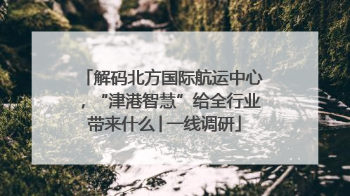 解码北方国际航运中心，“津港智慧”给全行业带来什么│一线调研