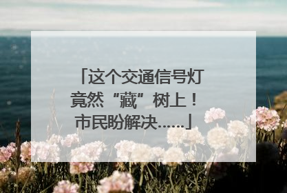 这个交通信号灯竟然“藏”树上！市民盼解决……