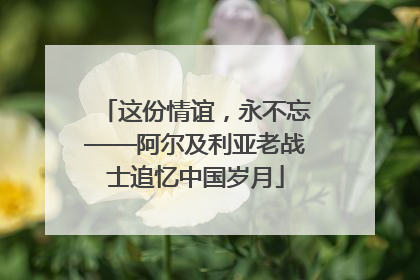 这份情谊，永不忘——阿尔及利亚老战士追忆中国岁月
