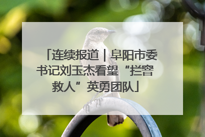 连续报道｜阜阳市委书记刘玉杰看望“拦窨救人”英勇团队