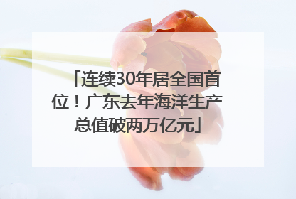 连续30年居全国首位！广东去年海洋生产总值破两万亿元