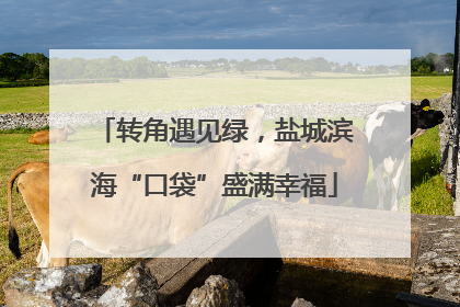 转角遇见绿，盐城滨海“口袋”盛满幸福
