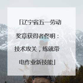 辽宁省五一劳动奖章获得者佟明：技术攻关，练就带电作业新技能