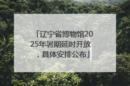辽宁省博物馆2025年暑期延时开放，具体安排公布
