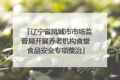 辽宁省凤城市市场监管局开展养老机构食堂食品安全专项整治
