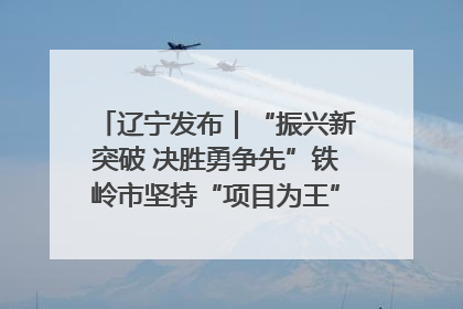 辽宁发布｜“振兴新突破 决胜勇争先”铁岭市坚持“项目为王”推进经济高质量发展
