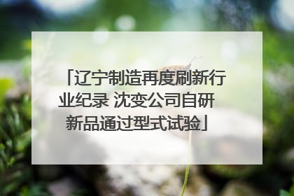辽宁制造再度刷新行业纪录 沈变公司自研新品通过型式试验