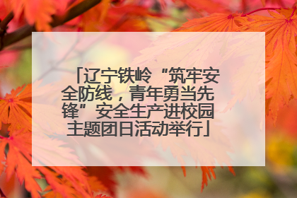 辽宁铁岭“筑牢安全防线，青年勇当先锋”安全生产进校园主题团日活动举行