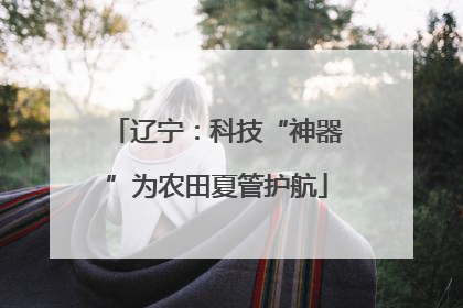 辽宁：科技“神器”为农田夏管护航