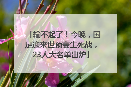 输不起了！今晚，国足迎来世预赛生死战，23人大名单出炉