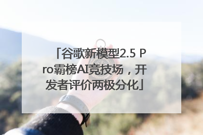 谷歌新模型2.5 Pro霸榜AI竞技场，开发者评价两极分化