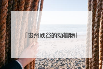 贵州峡谷的动植物