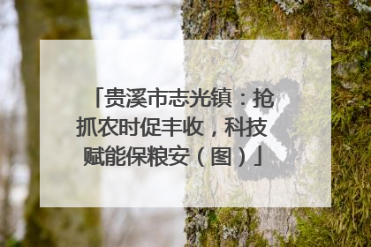贵溪市志光镇：抢抓农时促丰收，科技赋能保粮安（图）