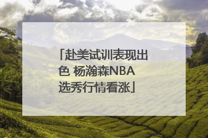 赴美试训表现出色 杨瀚森NBA选秀行情看涨