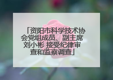 资阳市科学技术协会党组成员、副主席刘小彬 接受纪律审查和监察调查