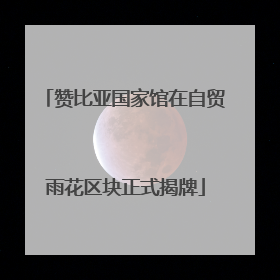 赞比亚国家馆在自贸雨花区块正式揭牌