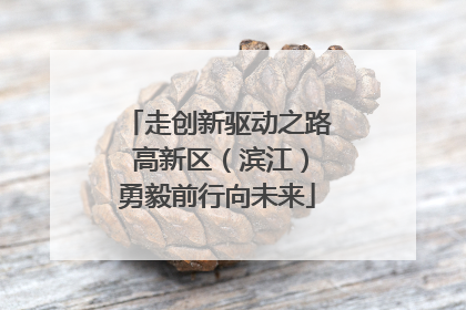 走创新驱动之路 高新区（滨江）勇毅前行向未来