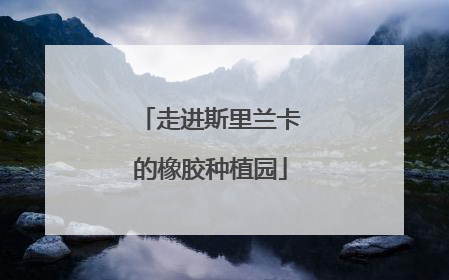 走进斯里兰卡的橡胶种植园
