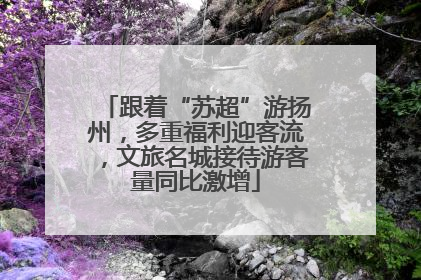 跟着“苏超”游扬州，多重福利迎客流，文旅名城接待游客量同比激增