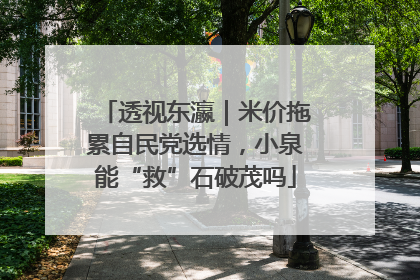 透视东瀛｜米价拖累自民党选情，小泉能“救”石破茂吗