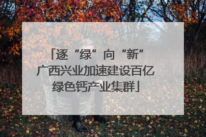 逐“绿”向“新” 广西兴业加速建设百亿绿色钙产业集群