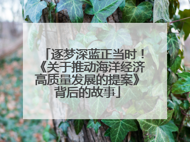 逐梦深蓝正当时！《关于推动海洋经济高质量发展的提案》背后的故事