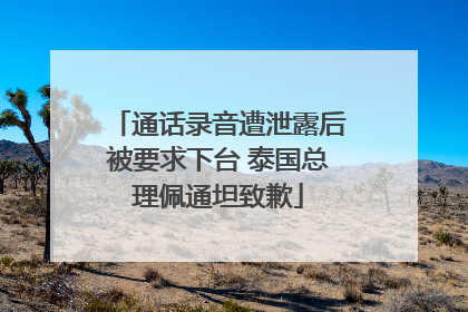 通话录音遭泄露后被要求下台 泰国总理佩通坦致歉