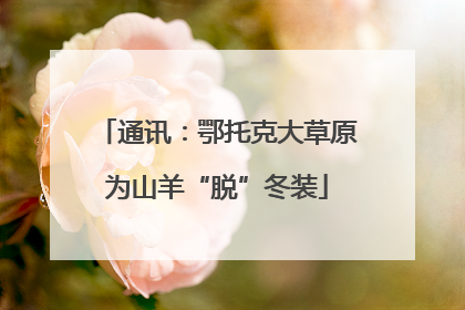 通讯：鄂托克大草原为山羊“脱”冬装
