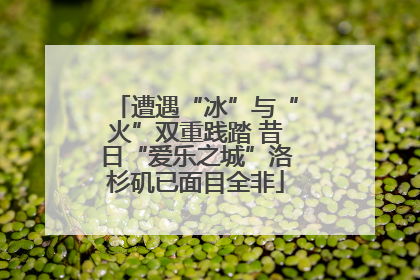 遭遇“冰”与“火”双重践踏 昔日“爱乐之城”洛杉矶已面目全非