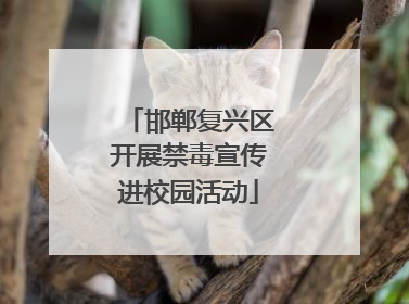 邯郸复兴区开展禁毒宣传进校园活动