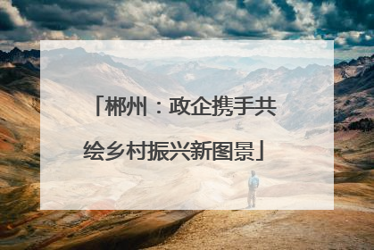 郴州：政企携手共绘乡村振兴新图景
